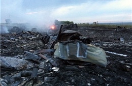 Ukraine ngừng bắn 40km quanh hiện trường MH17